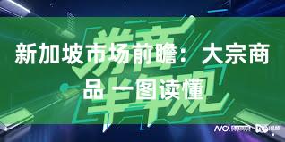 新加坡市场前瞻：大宗商品 一图读懂